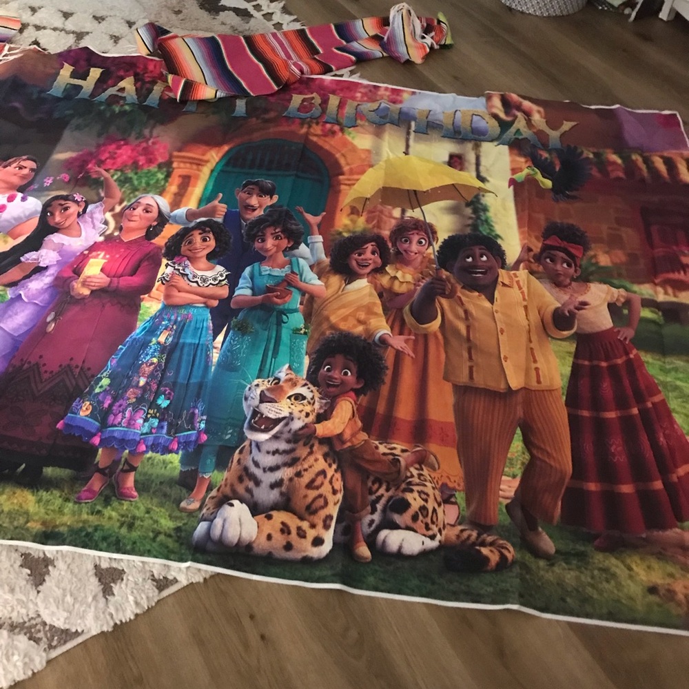 Disney Encanto Fabric Backdrop 5 X 7ft Birthday banner and two packs of balloons